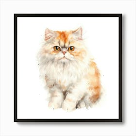 Domestic Shorthair Persian Cat Portrait Art Print