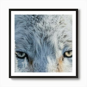 Winter Wolf Art Print