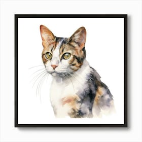American Wirehair Cat Portrait 3 Art Print