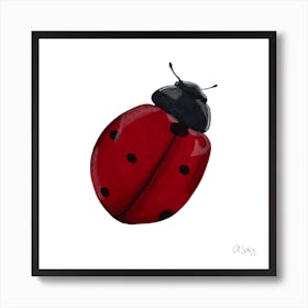 Ladybug Poster