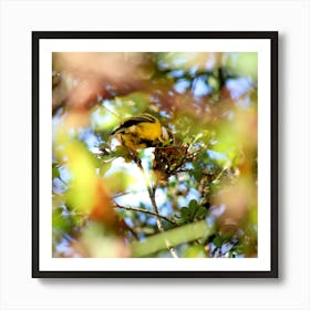 Yellow Bird 1 Art Print