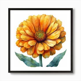 Zinnia Affiche