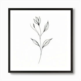 Line Drawing Of A Flower Poster