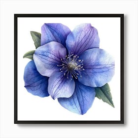 Blue Clematis Flower 2 Poster