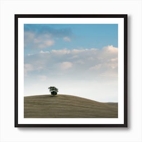 Lone Tuscan Tree Art Print