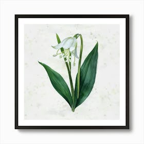 Lily Of The Valley 1 Art Print