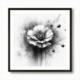 Black And White Poppy Art Print