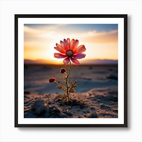 Single Flower In The Desert, A Blooming Flower In A Desolate Landscape Representing Hope And Resilience Art Print