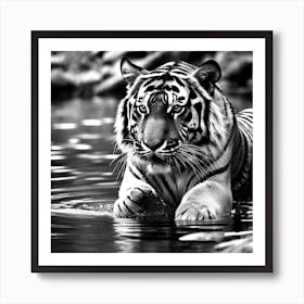 Tiger In Water 1 Art Print