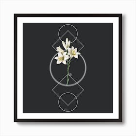 Vintage Madonna Lily Botanical with Geometric Line Motif and Dot Pattern n.0092 Art Print