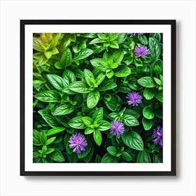 Close Up Of Purple Basil Flowers Art Print