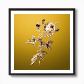 Gold Botanical Provence Rose on Mango Yellow n.4137 Art Print