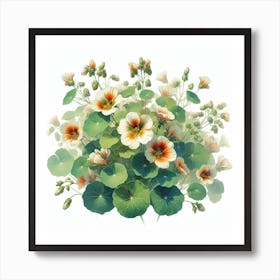 Flowers of Nasturtium 2 Art Print