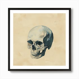 Skull Of A Man Art Print