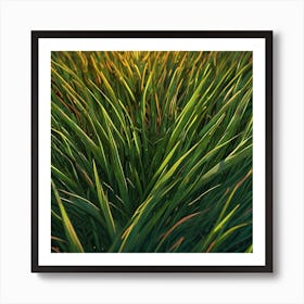 Grass 1 Art Print