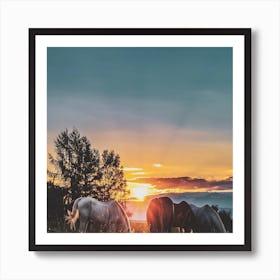 Horses Grazing At Sunset Art Print