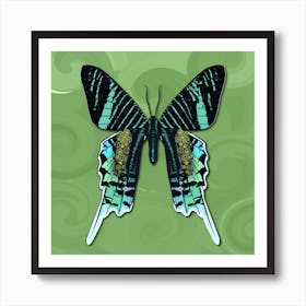 Mechanical Butterfly The Urania Leilus On A Light Green Background Art Print