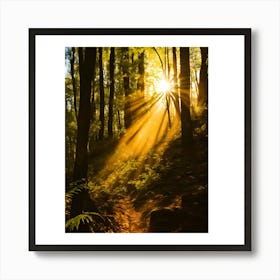 Sunbeams In The Forest 2 Art Print