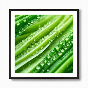 Green Leaf With Water Droplets Art Print