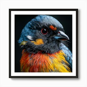 Colorful Bird 3 Art Print