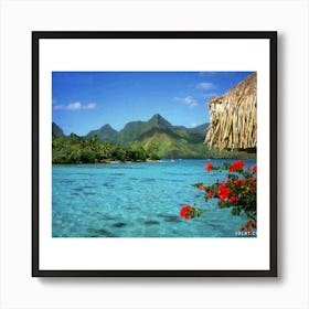 Hawaii Postcard Affiche