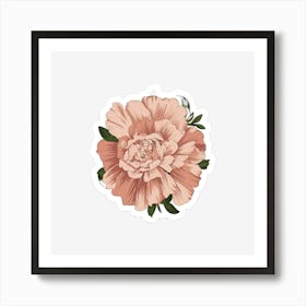 Peony Art Print