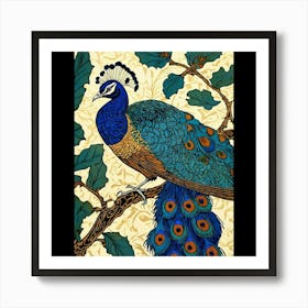 Peacock 1 Art Print