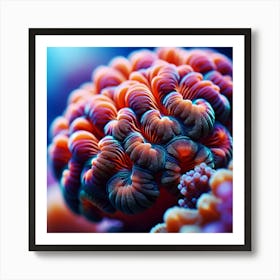 Coral Reef 2 Art Print