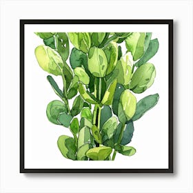 Eucalyptus 5 Art Print