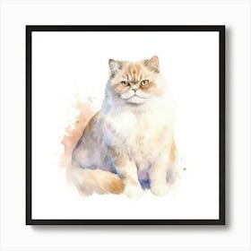 American Shorthair Persian Cat Portrait 1 Art Print