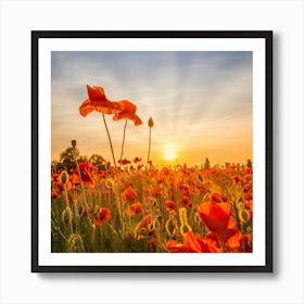 Poppies In Sunset Art Print