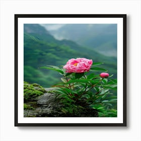 Pink Peony Art Print