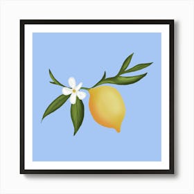 Lemon fruit and flowers Poster