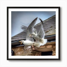 Seagulls Flying Art Print