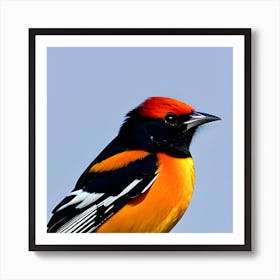 Oriole Art Print