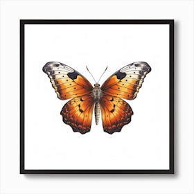 Butterfly 40 Art Print