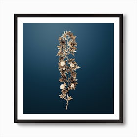 Gold Botanical Cuspidate Rose on Dusk Blue Art Print