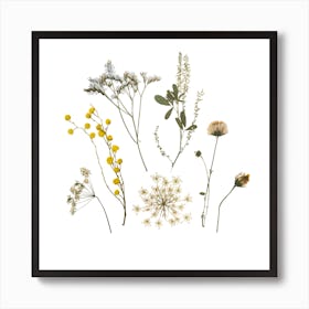 Wildflowers Art Print