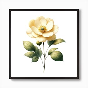 Peony Flower Art Print