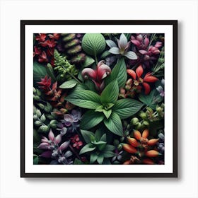 Medicinal herbs 3 Art Print