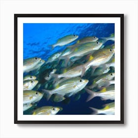 Fish in see Art Print