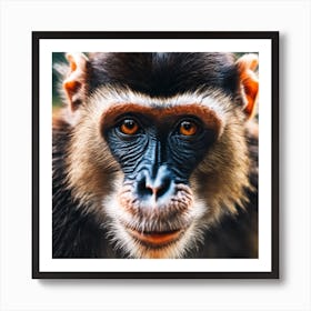 Close Up Of A Monkey 2 Art Print