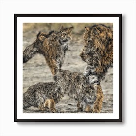 Lynx Fighting Art Print