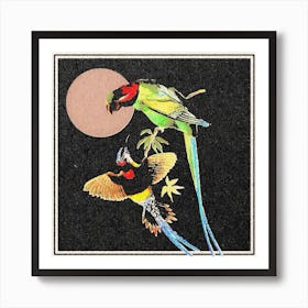 Birds Of Paradies Art Print