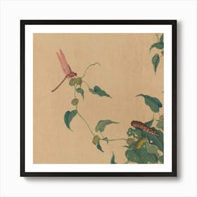 Dragonfly On A Plant Art Print