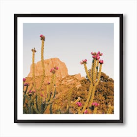 Skinny Cactus Sunset Square Art Print