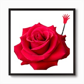 Rose With A Knife Art Print