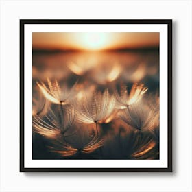 Dandelion At Sunset Art Print