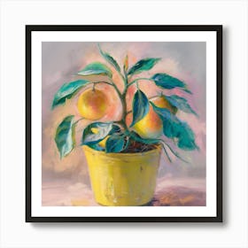 Oranges In A Pot 16 Art Print