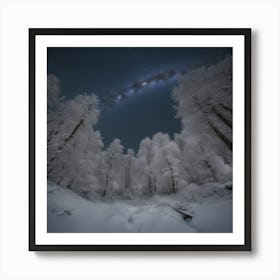 Night In The Forest 1 Art Print